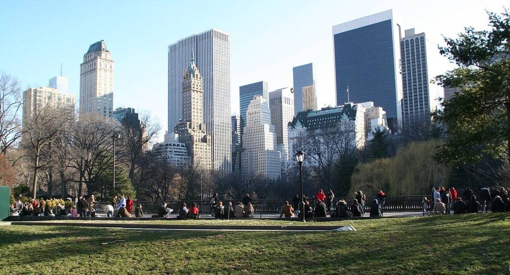 Explorer Central Park, un havre de verdure à New York en été